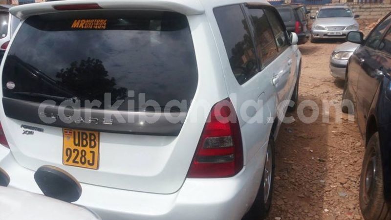 Big with watermark 50060720 492017927998009 7568314274901131264 o