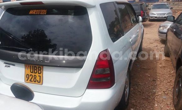 Buy Used Subaru Forester White Car in Kampala in Uganda Buy Used Subaru Forester White Car in Kampala in Uganda