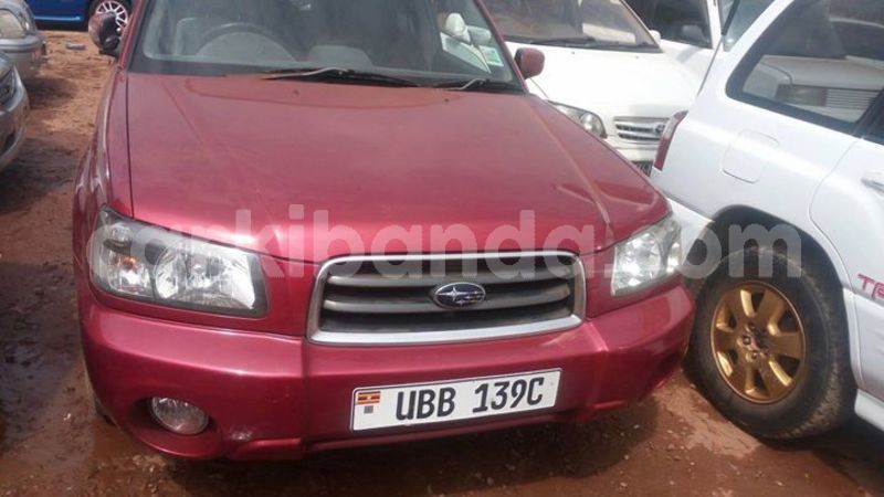 Big with watermark 49899363 492016174664851 2920602444457050112 o