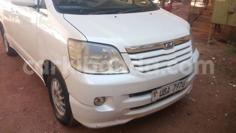 Big with watermark 50224122 490171161516019 6646721048886640640 o