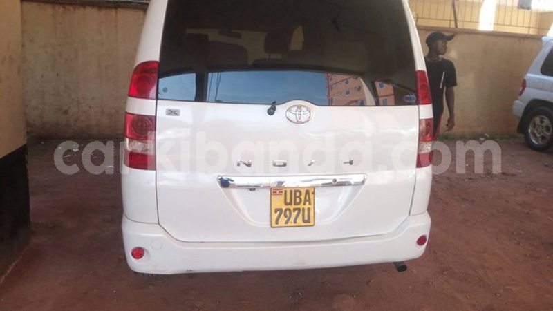 Big with watermark 49761443 490172908182511 6875250739673825280 o