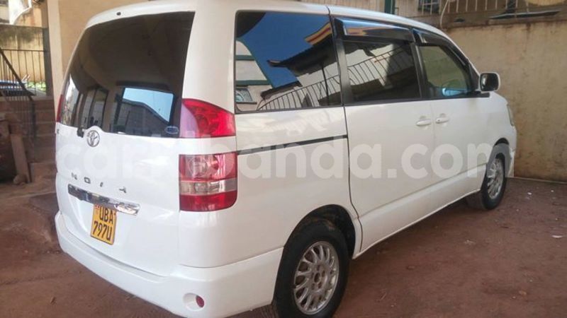 Big with watermark 49707146 490173104849158 3888147731729874944 o