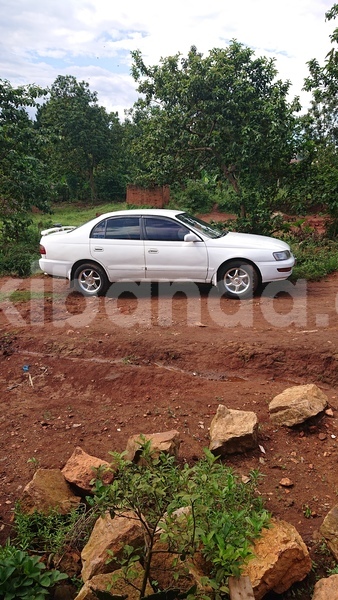 Big with watermark toyota corona uganda kampala 24692
