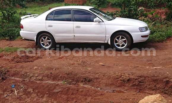 Buy Used Toyota Corona White Car in Kampala in Uganda