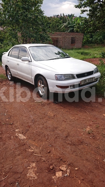 Big with watermark toyota corona uganda kampala 24692