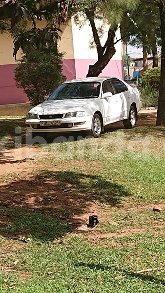 Big with watermark toyota corona uganda kampala 24692