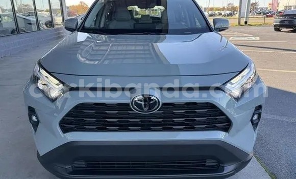 Nunua Ilio tumika Toyota RAV4 Kijani Gari ndani ya Bundibugyo nchini Magharibi