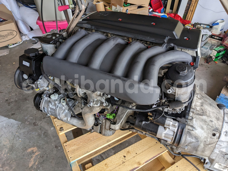 Big with watermark b