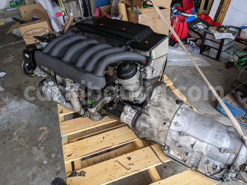 Big with watermark d