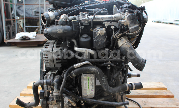 Medium with watermark s l16003