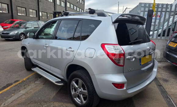 Buy Used Toyota RAV4 Silver Car in Kampala in Uganda Buy Used Toyota RAV4 Silver Car in Kampala in Uganda