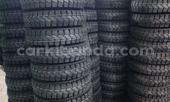 Medium with watermark 1000346415