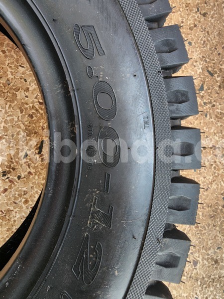 Big with watermark 1000359935