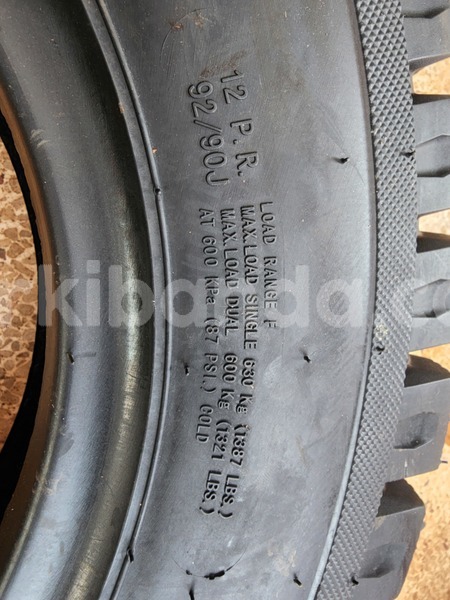 Big with watermark 1000359934