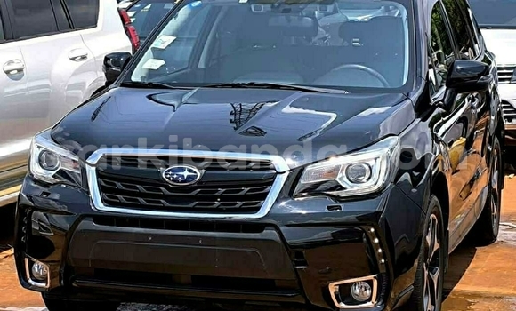 Acheter Occasion Voiture Subaru Forester Noir à Kampala, Ouganda Acheter Occasion Voiture Subaru Forester Noir à Kampala, Ouganda