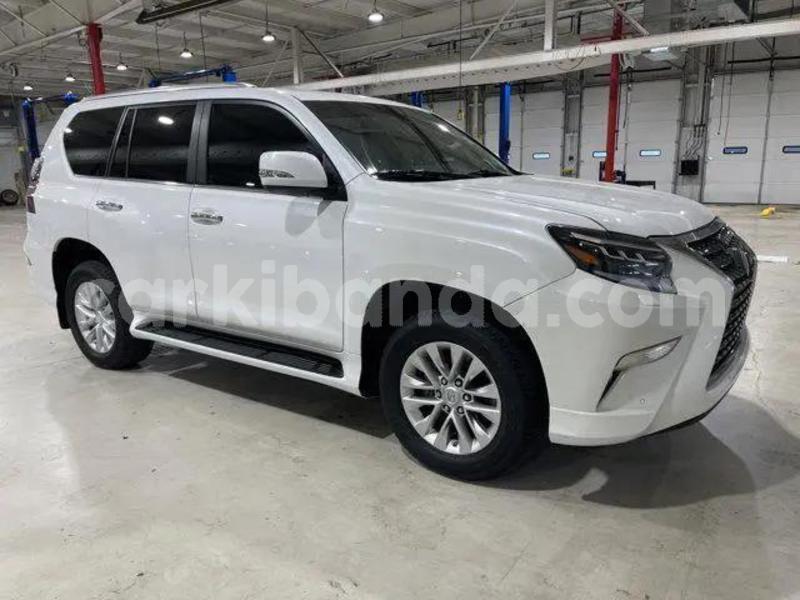 Big with watermark lexus gx eastern bugembe 24807
