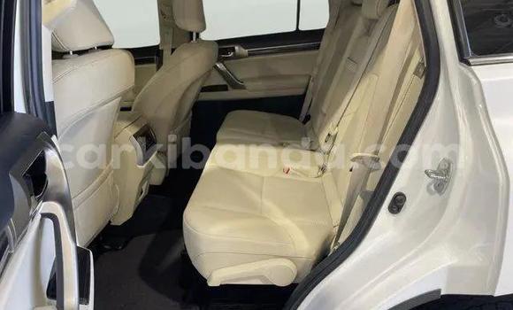 Gura Yakoze Lexus GX White Imodoka i Bugembe mu Eastern Gura Yakoze Lexus GX White Imodoka i Bugembe mu Eastern