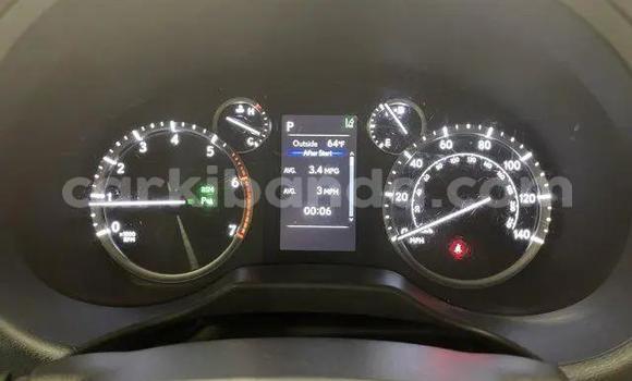 Gura Yakoze Lexus GX White Imodoka i Bugembe mu Eastern Gura Yakoze Lexus GX White Imodoka i Bugembe mu Eastern