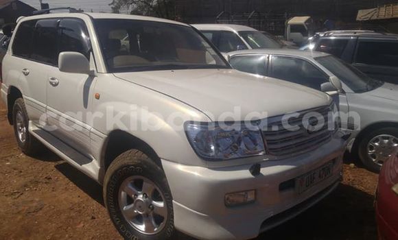 Nunua Ilio tumika Toyota Land Cruiser Nyeupe Gari ndani ya Kampala nchini Uganda Nunua Ilio tumika Toyota Land Cruiser Nyeupe Gari ndani ya Kampala nchini Uganda