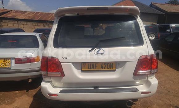 Nunua Ilio tumika Toyota Land Cruiser Nyeupe Gari ndani ya Kampala nchini Uganda Nunua Ilio tumika Toyota Land Cruiser Nyeupe Gari ndani ya Kampala nchini Uganda