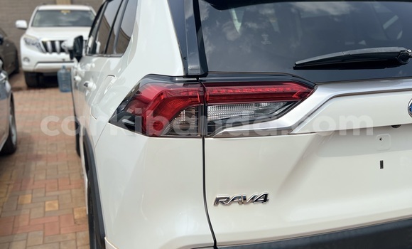 Buy Used Toyota RAV4 White Car in Kampala in Uganda Buy Used Toyota RAV4 White Car in Kampala in Uganda