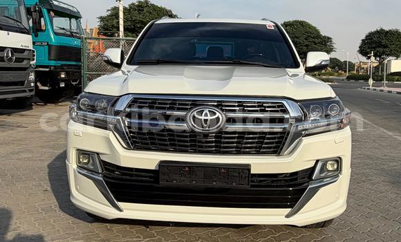 Buy Import Toyota Land Cruiser White Car in Import - Dubai in Uganda Buy Import Toyota Land Cruiser White Car in Import - Dubai in Uganda