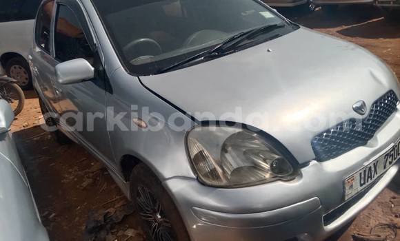Buy Used Toyota Vitz Other Car in Kampala in Uganda Buy Used Toyota Vitz Other Car in Kampala in Uganda