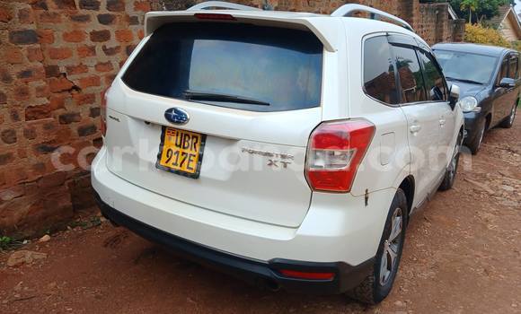 Buy Used Subaru Forester White Car in Kampala in Uganda Buy Used Subaru Forester White Car in Kampala in Uganda