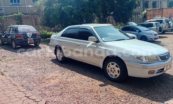 Buy Used Toyota Premio White Car in Kampala in Uganda Buy Used Toyota Premio White Car in Kampala in Uganda
