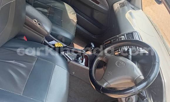 Buy Used Toyota Premio White Car in Kampala in Uganda Buy Used Toyota Premio White Car in Kampala in Uganda