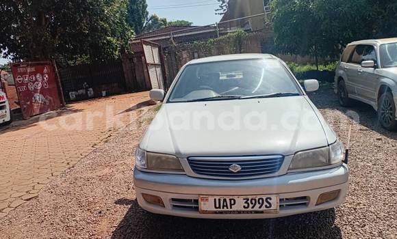 Buy Used Toyota Premio White Car in Kampala in Uganda Buy Used Toyota Premio White Car in Kampala in Uganda
