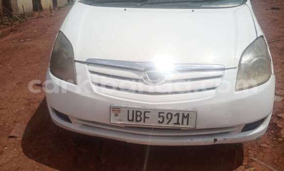 Buy Used Toyota Spacio Other Car in Kampala in Uganda Buy Used Toyota Spacio Other Car in Kampala in Uganda