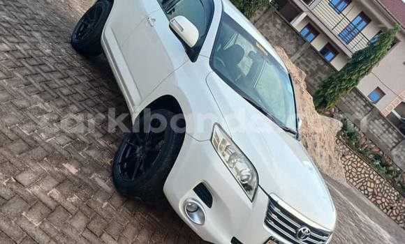 Buy Used Toyota Vanguard White Car in Kampala in Uganda Buy Used Toyota Vanguard White Car in Kampala in Uganda