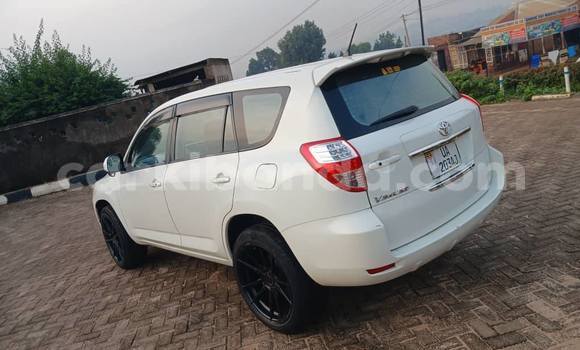 Buy Used Toyota Vanguard White Car in Kampala in Uganda Buy Used Toyota Vanguard White Car in Kampala in Uganda