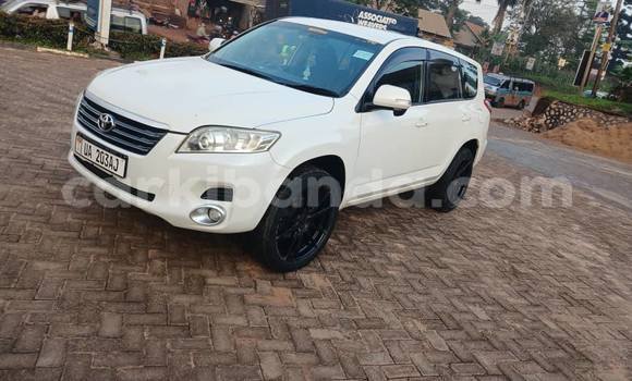 Buy Used Toyota Vanguard White Car in Kampala in Uganda Buy Used Toyota Vanguard White Car in Kampala in Uganda