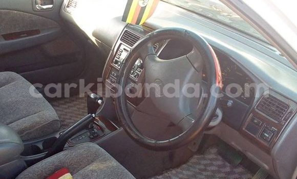 Buy Used Toyota Premio White Car in Kampala in Uganda Buy Used Toyota Premio White Car in Kampala in Uganda