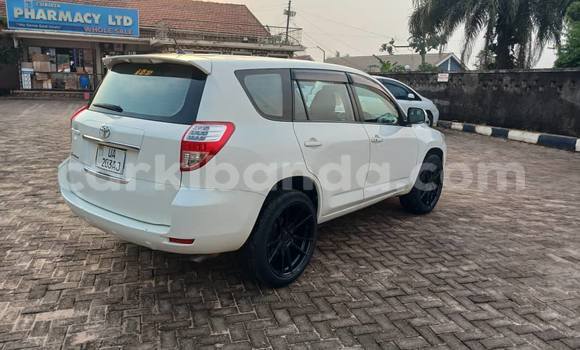Buy Used Toyota Vanguard White Car in Kampala in Uganda Buy Used Toyota Vanguard White Car in Kampala in Uganda