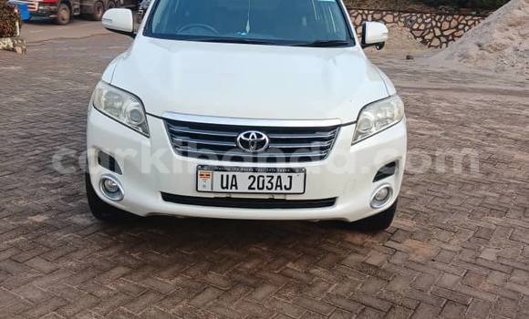 Buy Used Toyota Vanguard White Car in Kampala in Uganda Buy Used Toyota Vanguard White Car in Kampala in Uganda