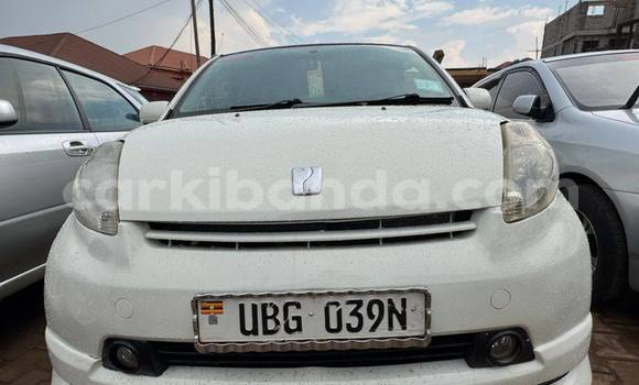 Buy Used Toyota Passo White Car in Kampala in Uganda Buy Used Toyota Passo White Car in Kampala in Uganda