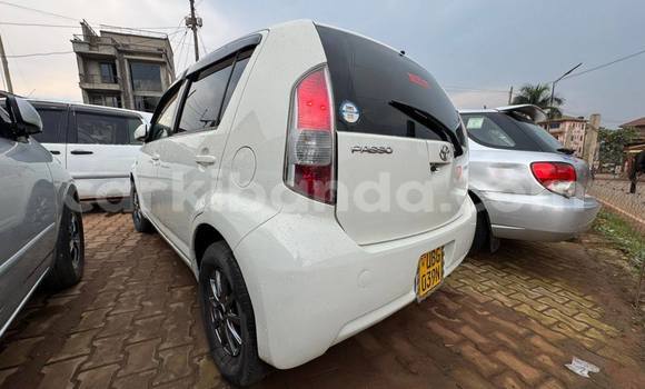 Buy Used Toyota Passo White Car in Kampala in Uganda Buy Used Toyota Passo White Car in Kampala in Uganda