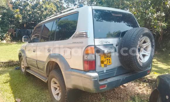 Buy Used Toyota Land Cruiser Prado Silver Car in Kampala in Uganda Buy Used Toyota Land Cruiser Prado Silver Car in Kampala in Uganda