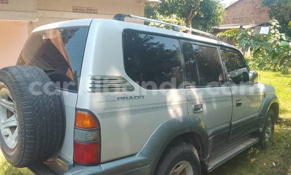 Buy Used Toyota Land Cruiser Prado Silver Car in Kampala in Uganda Buy Used Toyota Land Cruiser Prado Silver Car in Kampala in Uganda