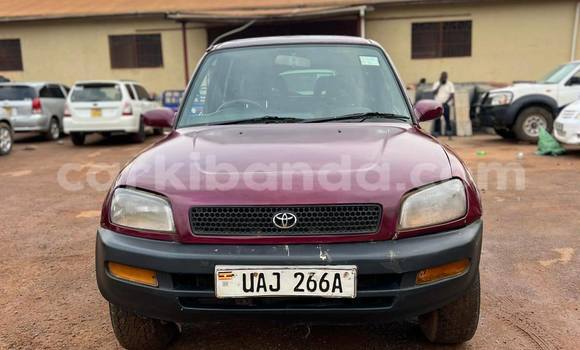 Buy Used Toyota RAV4 Red Car in Kampala in Uganda Buy Used Toyota RAV4 Red Car in Kampala in Uganda