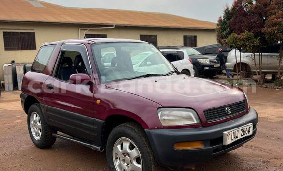 Buy Used Toyota RAV4 Red Car in Kampala in Uganda Buy Used Toyota RAV4 Red Car in Kampala in Uganda