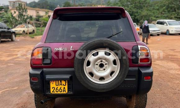 Buy Used Toyota RAV4 Red Car in Kampala in Uganda Buy Used Toyota RAV4 Red Car in Kampala in Uganda