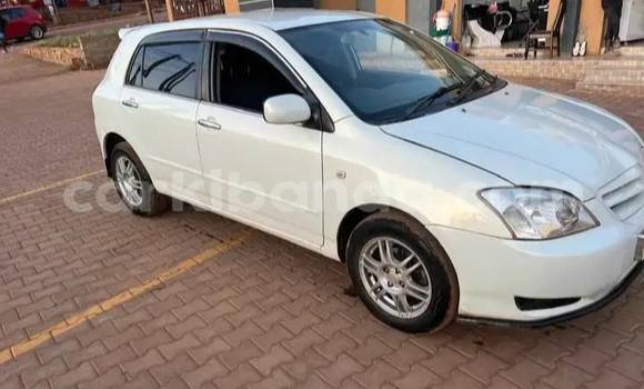 Buy Used Toyota Allex White Car in Kampala in Uganda Buy Used Toyota Allex White Car in Kampala in Uganda