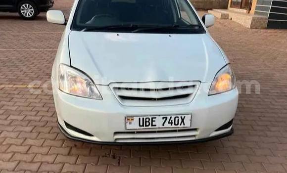 Buy Used Toyota Allex White Car in Kampala in Uganda Buy Used Toyota Allex White Car in Kampala in Uganda