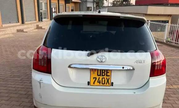 Buy Used Toyota Allex White Car in Kampala in Uganda Buy Used Toyota Allex White Car in Kampala in Uganda