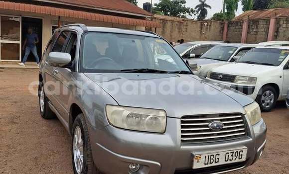 Gura Yakoze Subaru Forester Other Imodoka i Kampala mu Uganda Gura Yakoze Subaru Forester Other Imodoka i Kampala mu Uganda