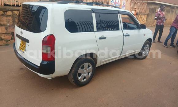 Buy Used Toyota Probox White Car in Kampala in Uganda Buy Used Toyota Probox White Car in Kampala in Uganda